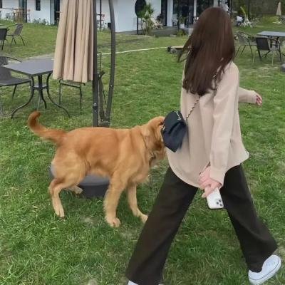 女人不宜